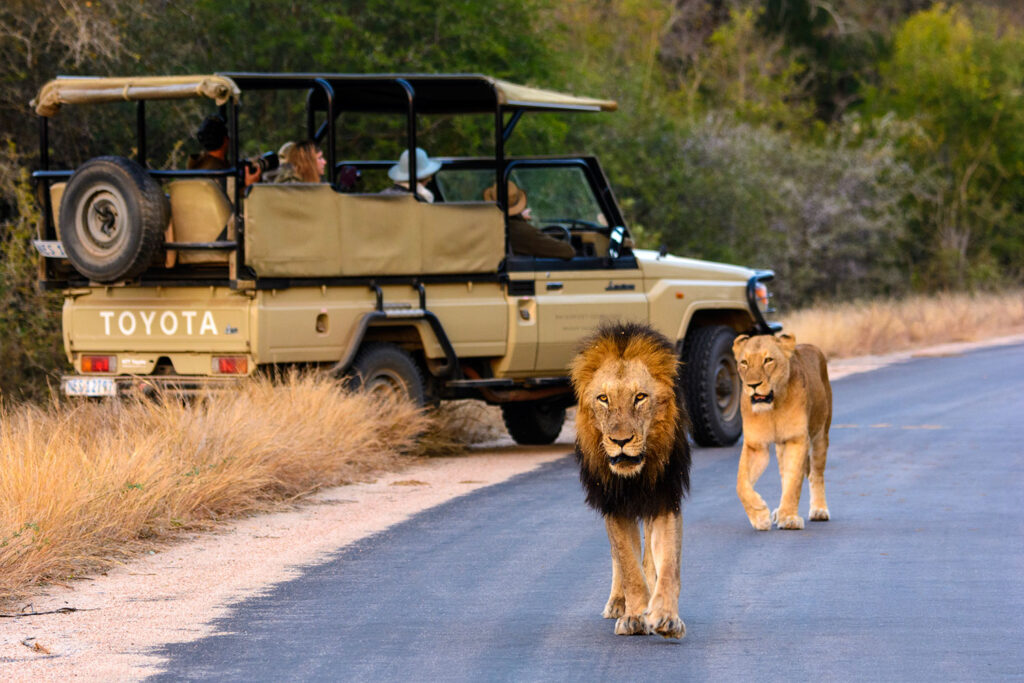 uganda safari adventures