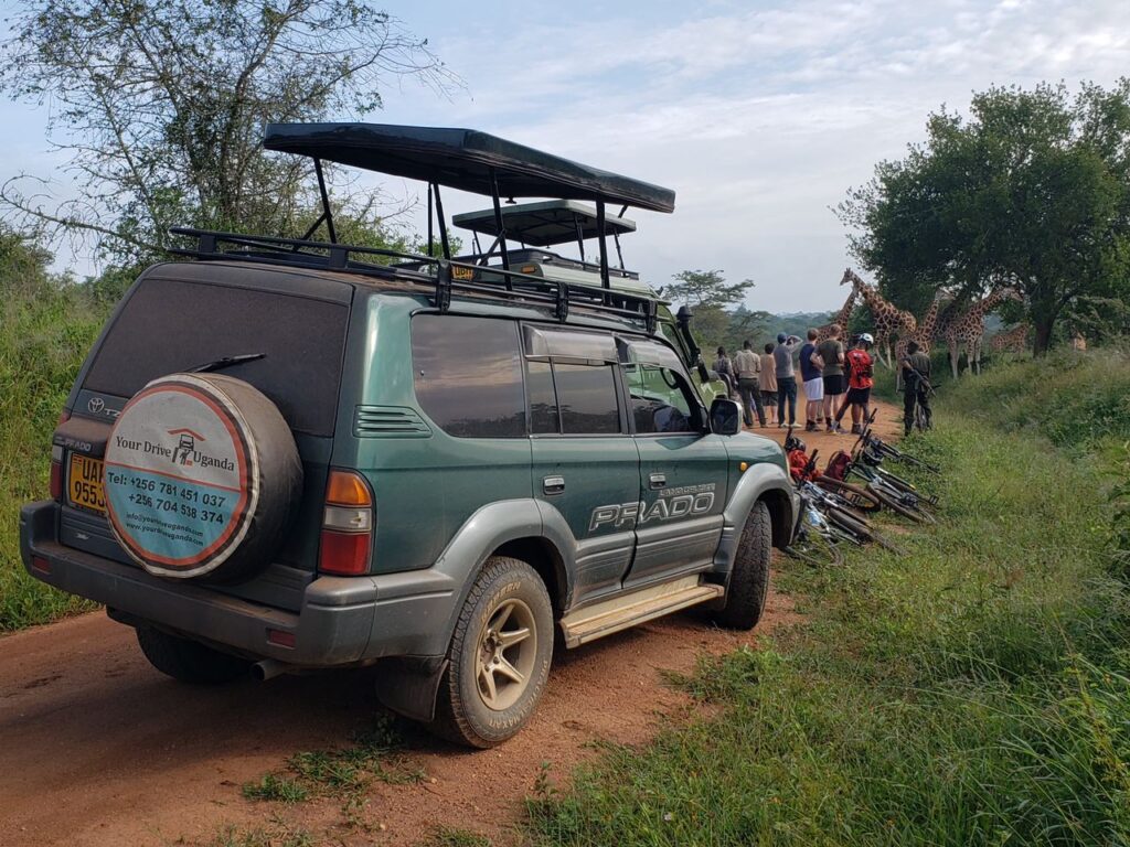 safari land cruiser prado TX/TZ with a pop up roof
