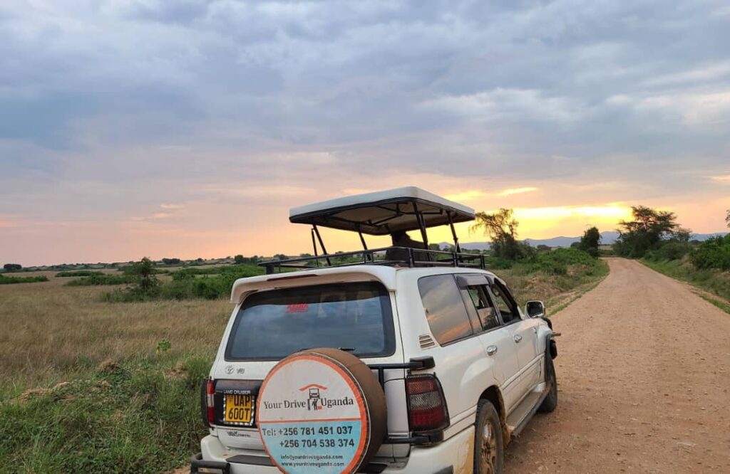 land cruiser v8 with a pop up roof for 4x4 self drive in uganda