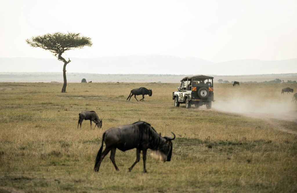 cross border 4x4 car rental uganda services to kenya