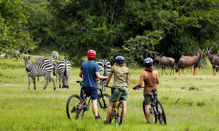 lake mburo national park