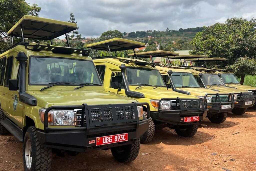 Best 4×4 cars for hire for safaris in June