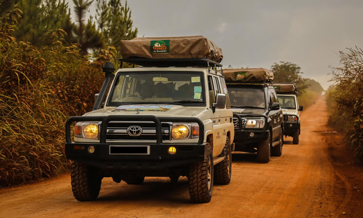 4x4 car rental uganda cross border safaris