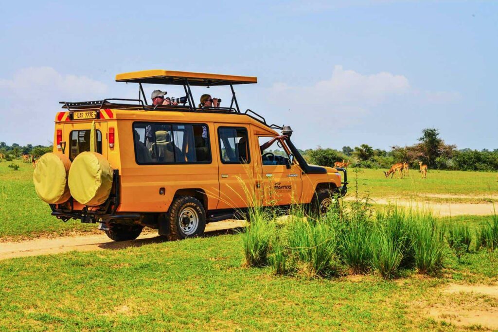 game drive in a 10 days uganda safari tour