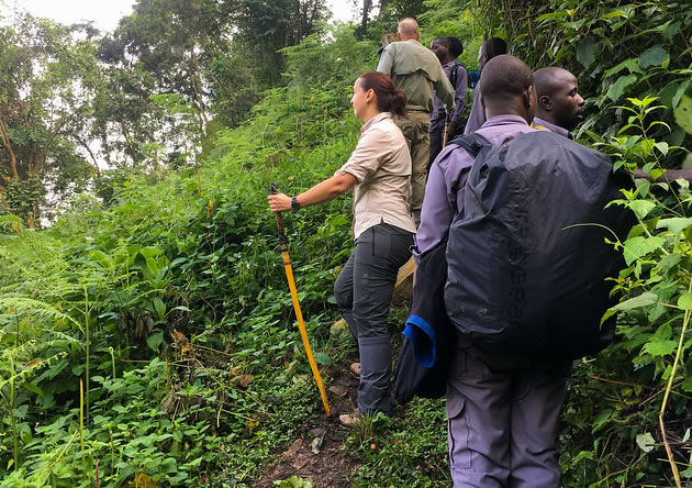 5 days primate safari in uganda