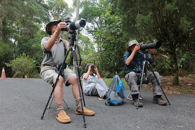 bird watching