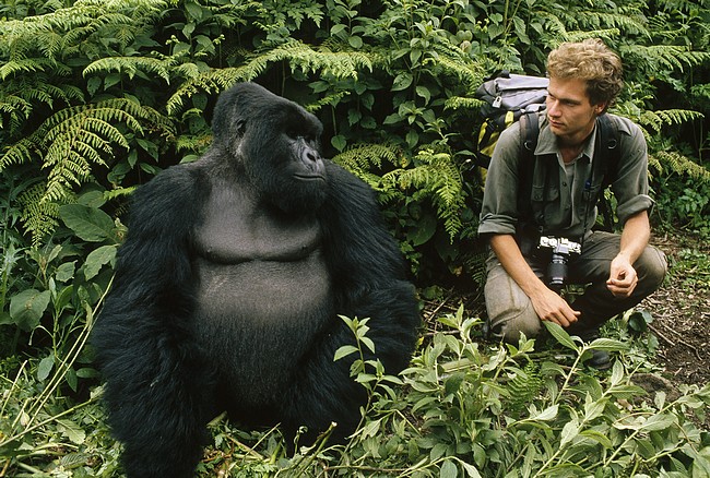three days uganda gorilla safaris