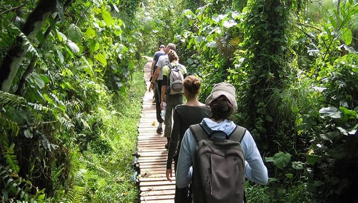 uganda safari adventure in kibale