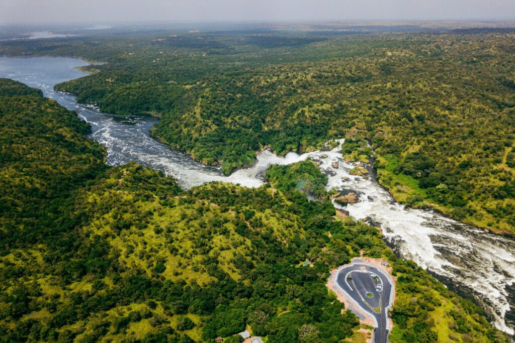 uganda safari to murchison falls