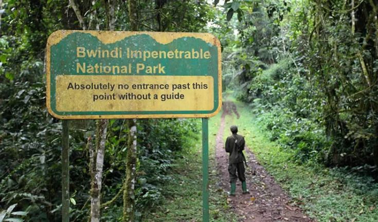 Bwindi Impenetrable forest national park sign post