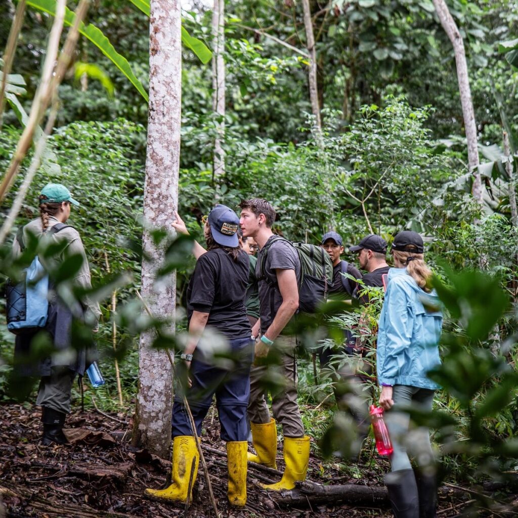 Nature walks in kibale forest national park