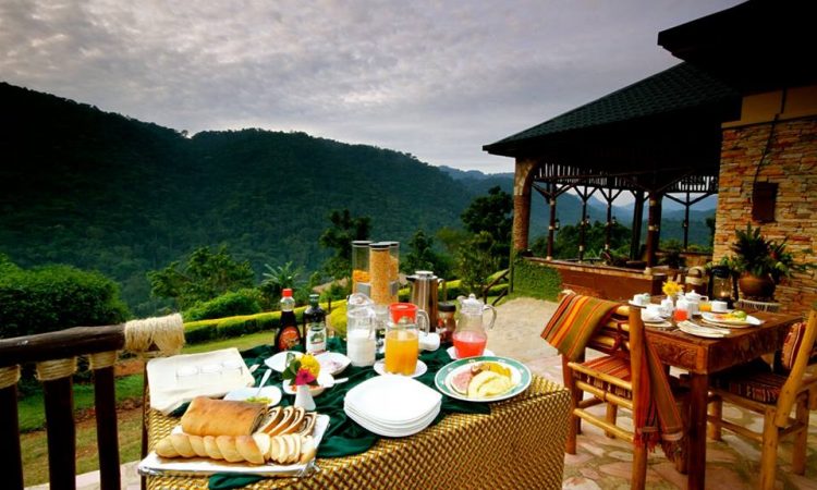 bwindi impetrable forest campsite